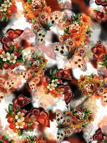 248220-蝴蝶花卉花朵组合