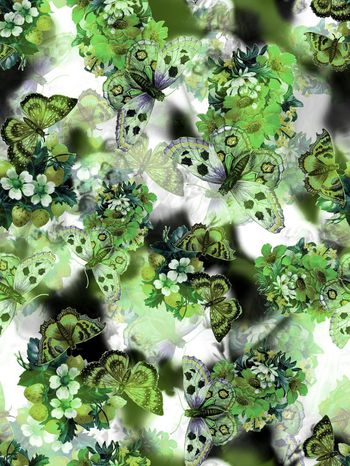 248221-蝴蝶花卉花朵组合