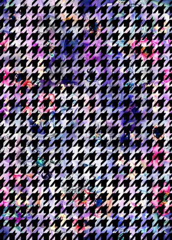 248784-时尚大牌风花卉几何千鸟格