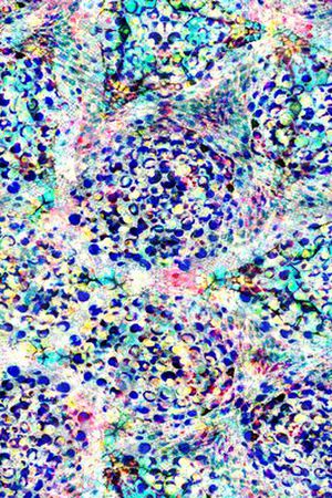 肌理印花华亿平台图片