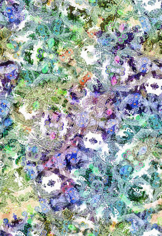 多彩 佩斯利 腰果花 花卉 花朵 组合 印花华亿平台图片