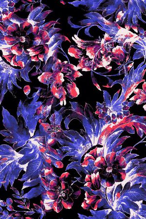 神秘 冬季 花卉 花朵 紫色 黑底印花华亿平台图片