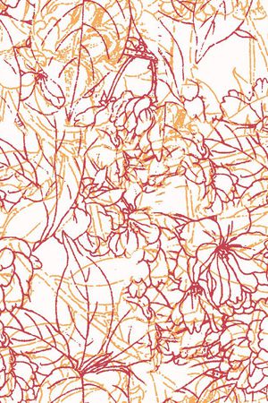 线条 花卉 白描  花朵 服装 印花华亿平台图片