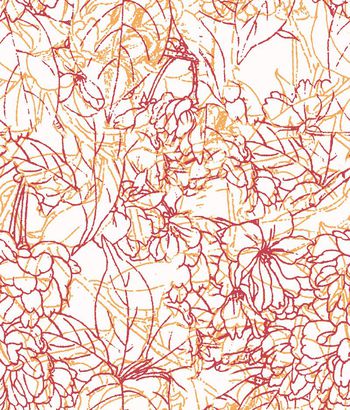 249222-WT075线条花卉白描颜色印花华亿平台