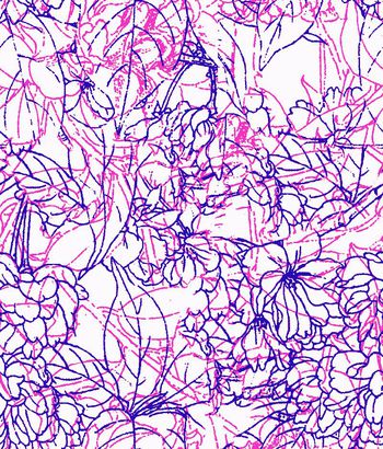 249224-线条花卉白描颜色印花华亿平台