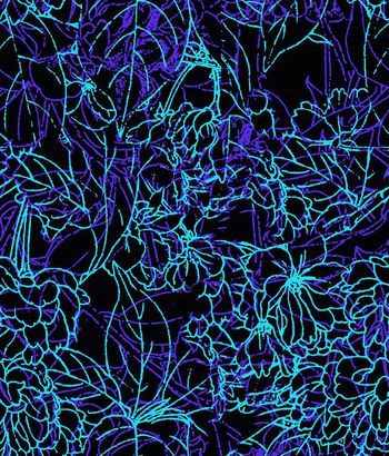 249225-线条花卉白描颜色印花华亿平台