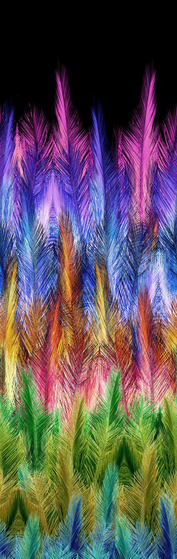 249249-多彩定位热带树叶