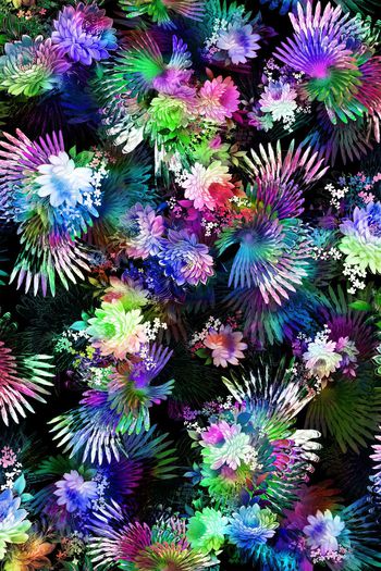 249582-数码服装花多彩羽毛底纹线条大花朵