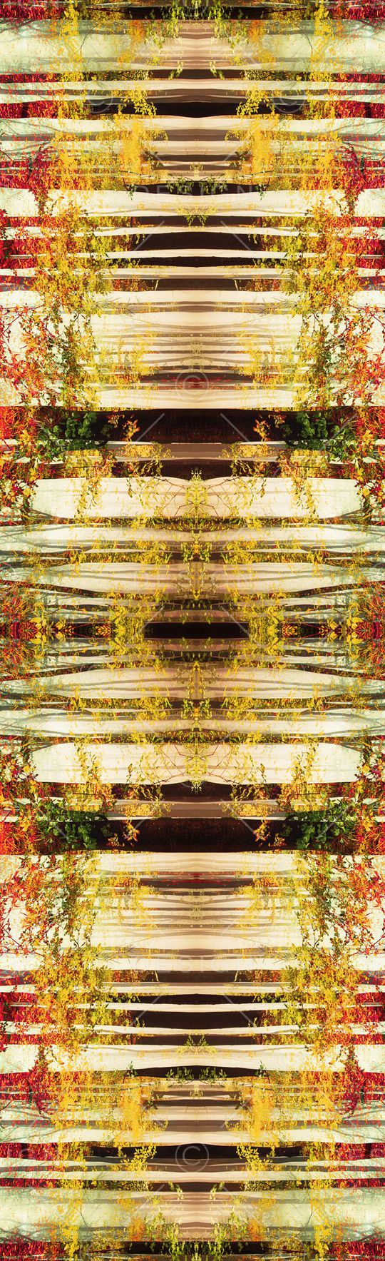 摄影风景印花华亿平台图片