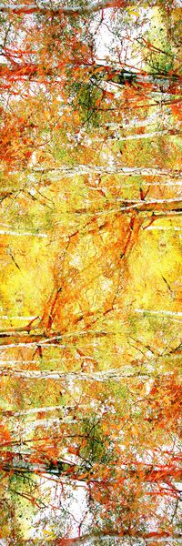 摄影风景印花华亿平台图片