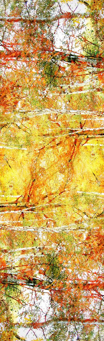 249844-WT090抽象树林水彩印花长巾