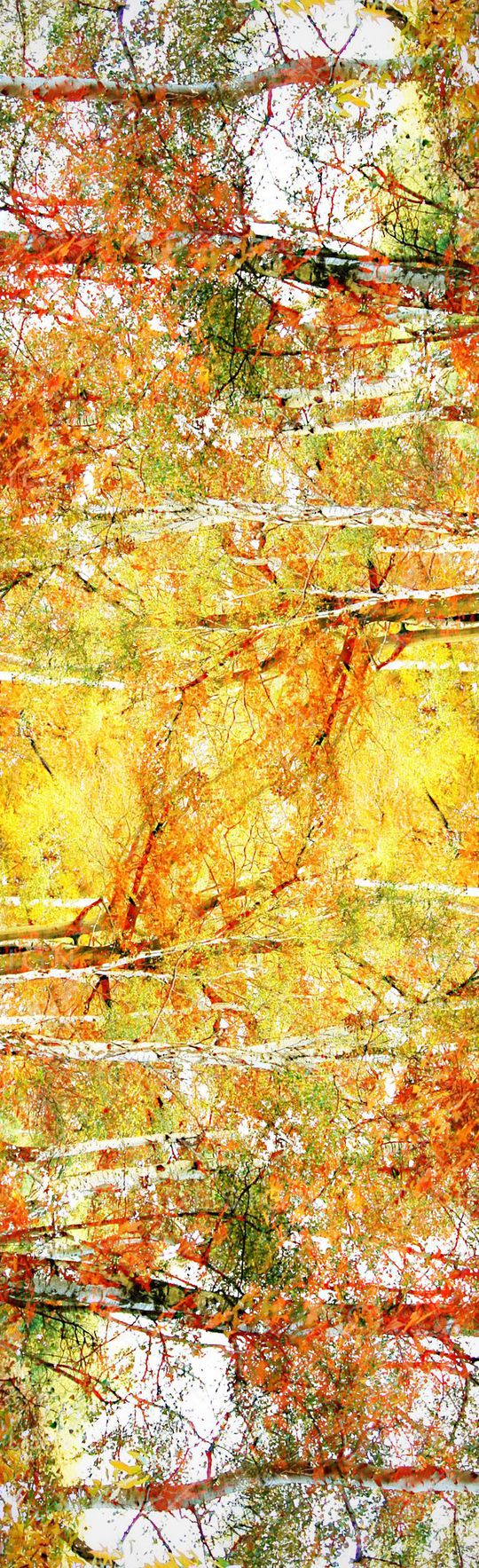 摄影风景印花华亿平台图片