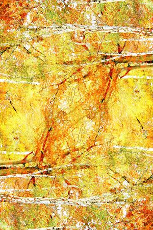 摄影风景印花华亿平台图片