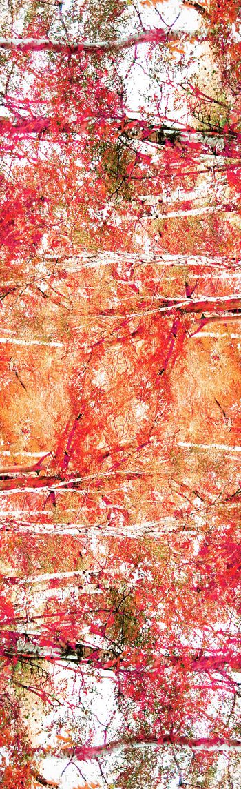 249846-抽象树林水彩印花长巾