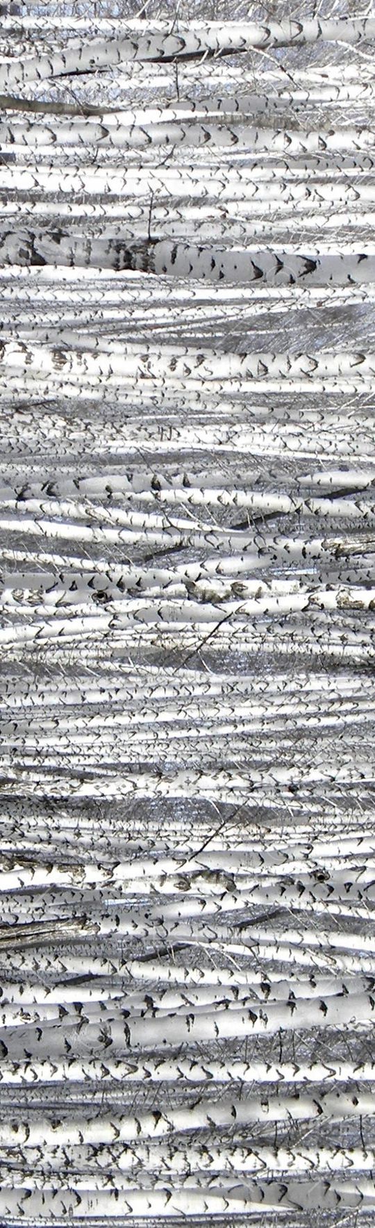 灰白色调印花华亿平台图片