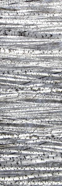 灰白色调印花华亿平台图片