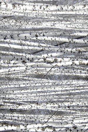 灰白色调印花华亿平台图片