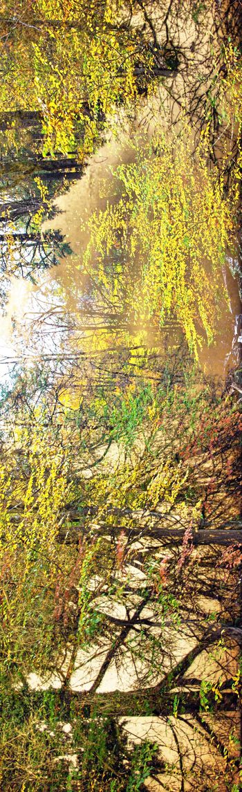 249849-WT092复古树林抽象印花长巾