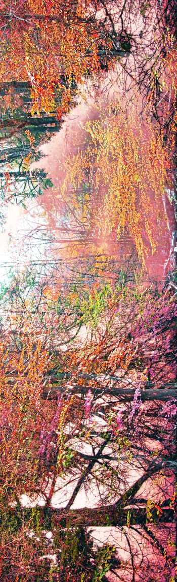 249851-复古树林抽象印花长巾