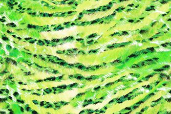 250335-笔触豹纹动物纹水彩循环印花华亿平台