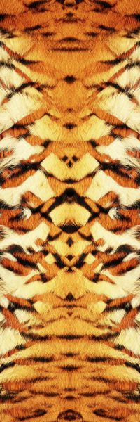 虎纹印花华亿平台图片