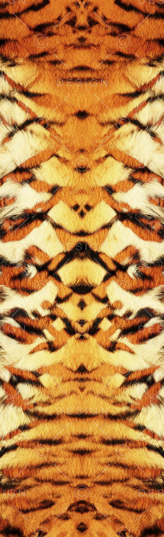 虎纹印花华亿平台图片