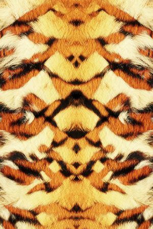 虎纹印花华亿平台图片