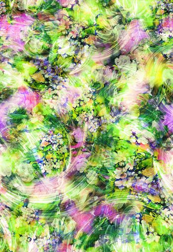 250478-多彩花卉花朵组合