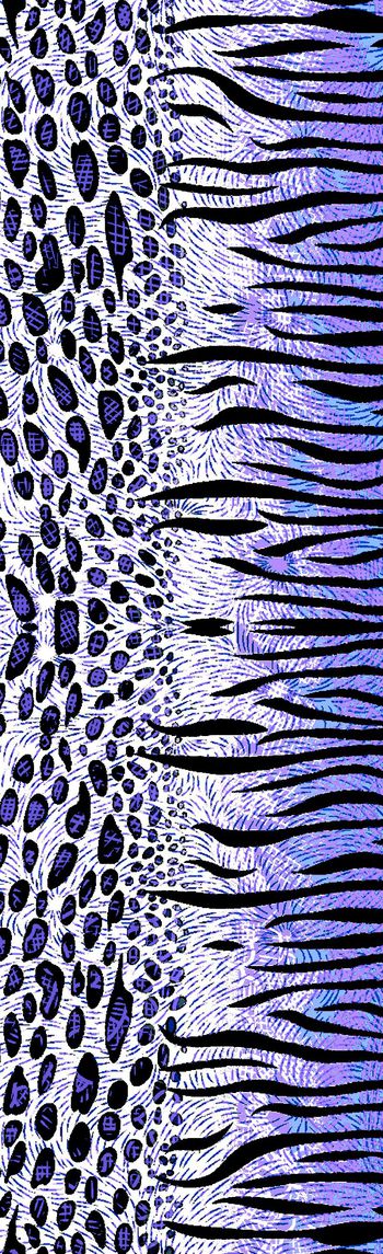 250502-笔触豹纹动物纹印花长巾