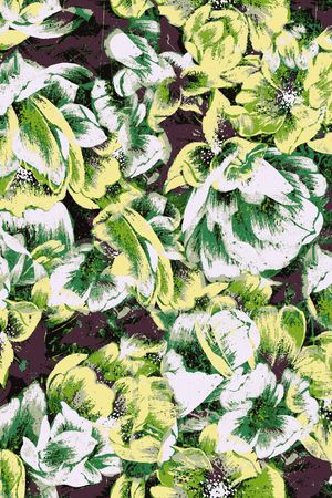 花卉 绽放印花华亿平台图片