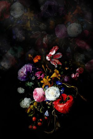 黑底 油画 静物 花卉 印花华亿平台图片