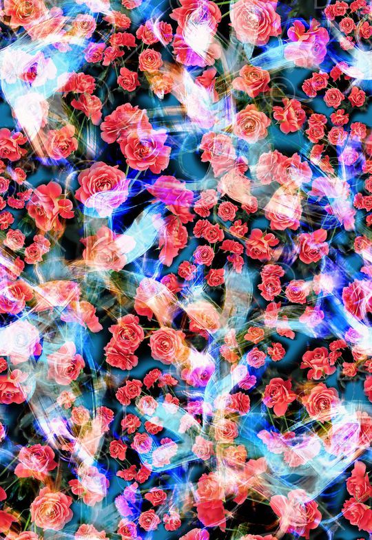 花卉 玫瑰 光线 光感 轻盈印花华亿平台图片