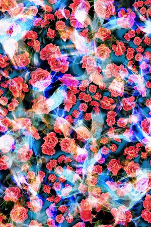 花卉 玫瑰 光线 光感 轻盈印花华亿平台图片