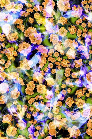 印花华亿平台图片