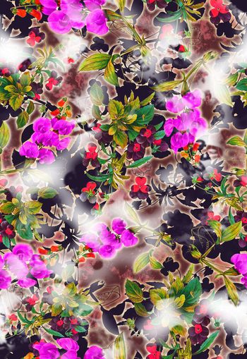 250678-多彩花卉花朵组合