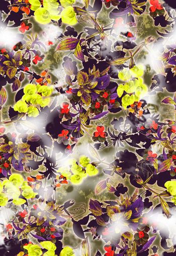 250679-多彩花卉花朵组合