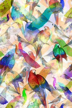 朦胧 鸟 鹦鹉 热带 动物印花华亿平台图片