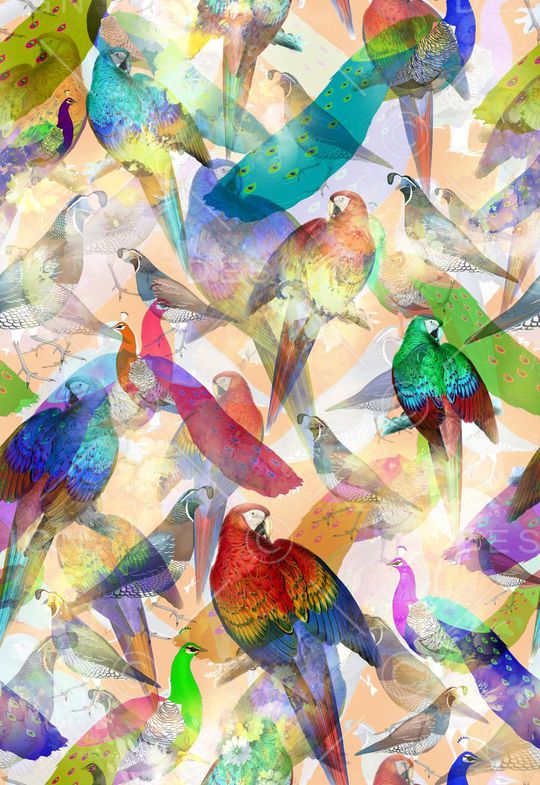 朦胧 鸟 鹦鹉 热带 动物印花华亿平台图片