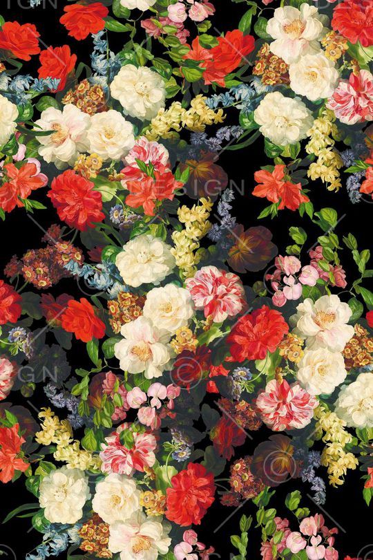 黑底 花卉 古典花卉印花华亿平台图片