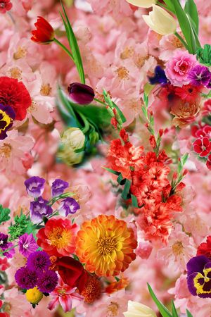 花卉 满底 樱花 粉红 菊花印花华亿平台图片