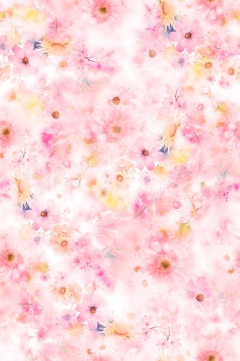 250906-多色梦幻组合华亿平台