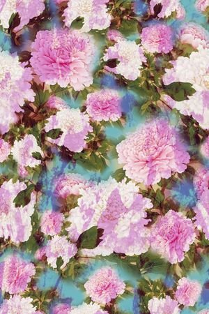 花卉 牡丹 工笔 中国风 清新 淡雅印花华亿平台图片