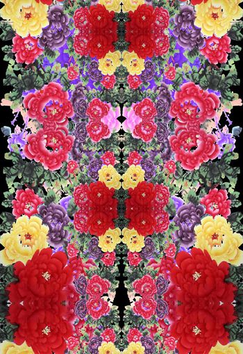 250934-对称中国画水墨民族花卉花朵