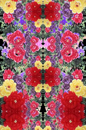 中国风 民族风 牡丹 水墨 写意 对称 镜像印花华亿平台图片