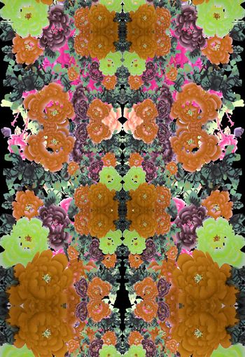 250936-对称中国画水墨民族花卉花朵