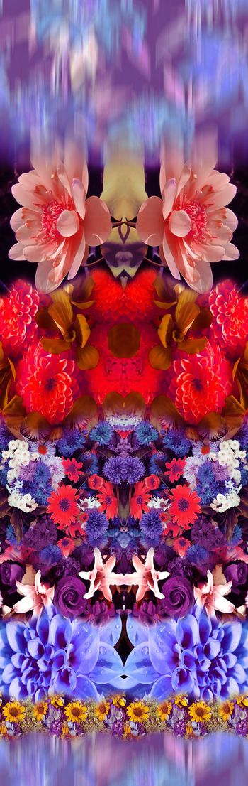 250950-对称定位花卉花朵组合