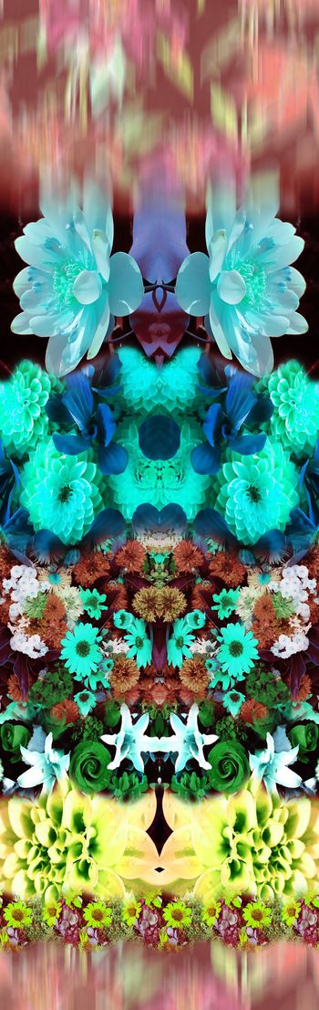 250951-对称定位花卉花朵组合