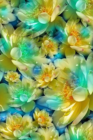 花卉 莲花 荷花 满底 照片印花华亿平台图片