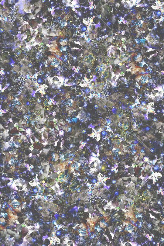 暗调 闪烁 璀璨 花卉 黑色印花华亿平台图片