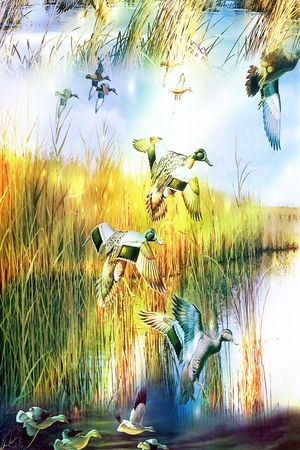 印花华亿平台图片